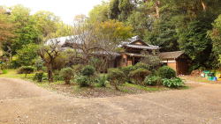 �r���O��