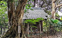 �������Ղ�C���[�W